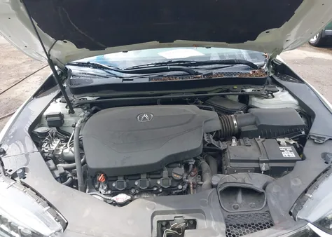 19UUB3F60KA005206